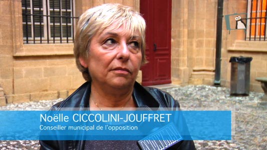 Conseil municipal du 28/04/14 ITV Noëlle Ciccolini-Jouffret