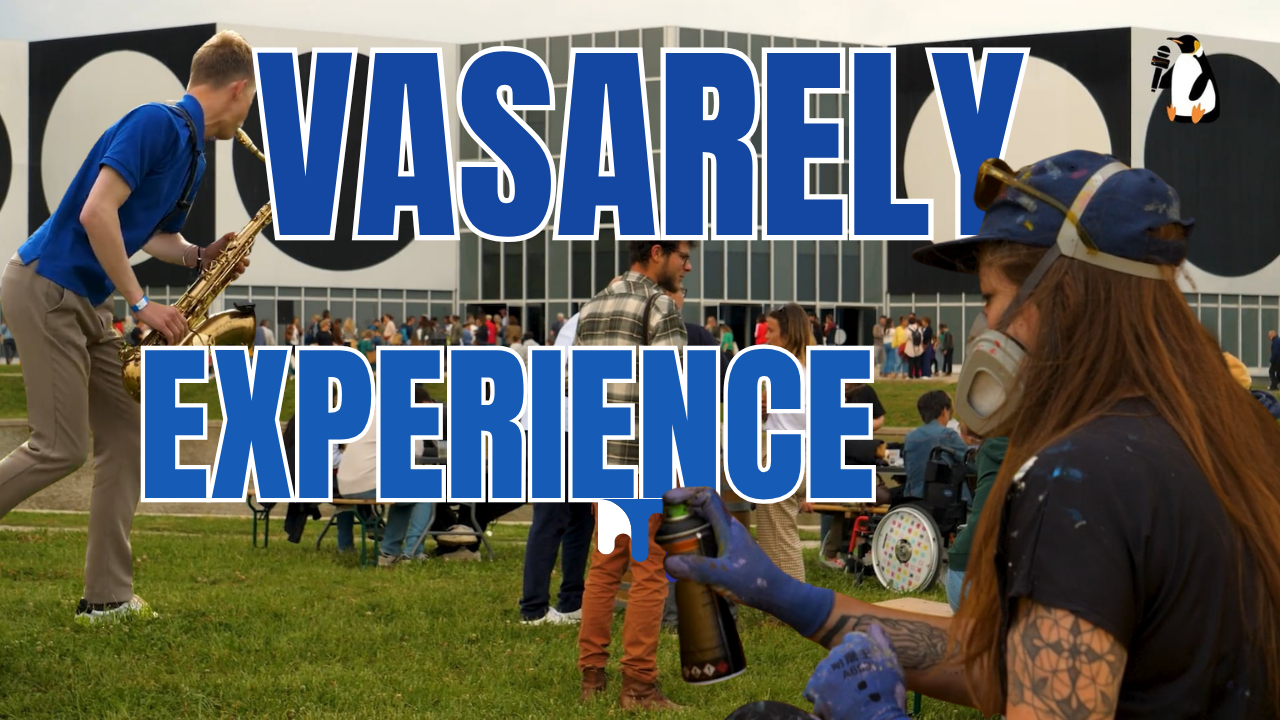 Vasarely Experience