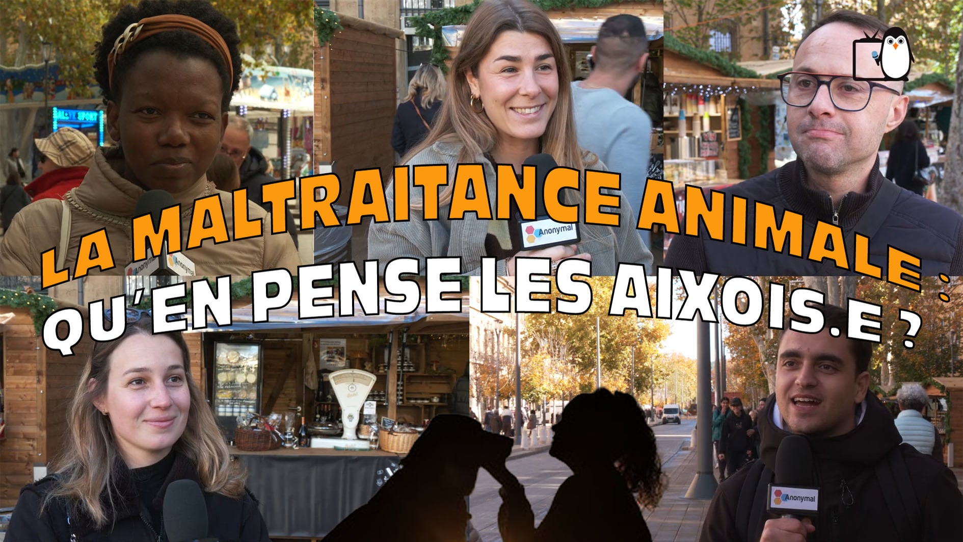 Les Aixois face au bien-être animal : un micro-trottoir qui interroge !