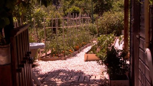 Bienvenue dans mon jardin