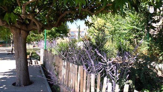 Vegetalisation à Pertuis