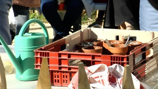 Ouverture du jardin "La bulle verte"